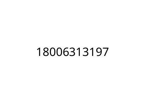 18006313197