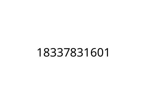 18337831601