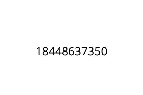 18448637350