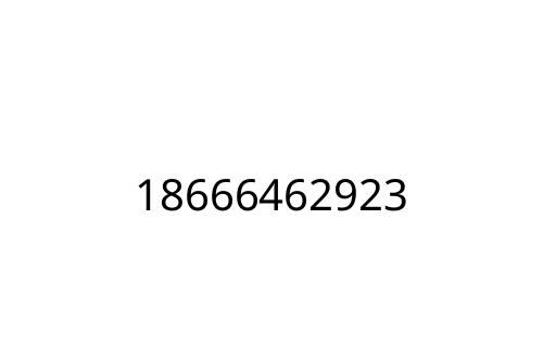 18666462923