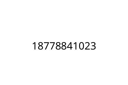 18778841023