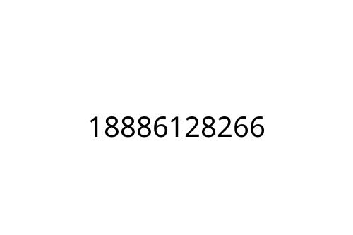 18886128266