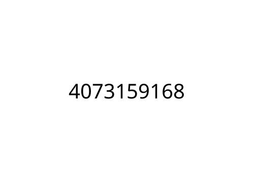 4073159168