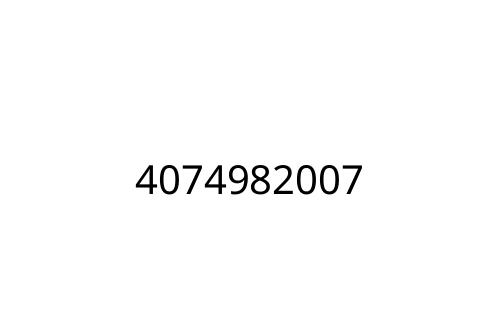 4074982007