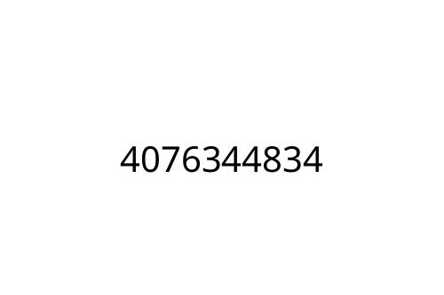 4076344834