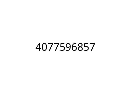 4077596857