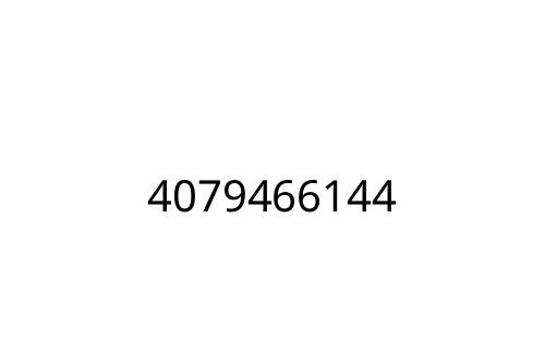 4079466144