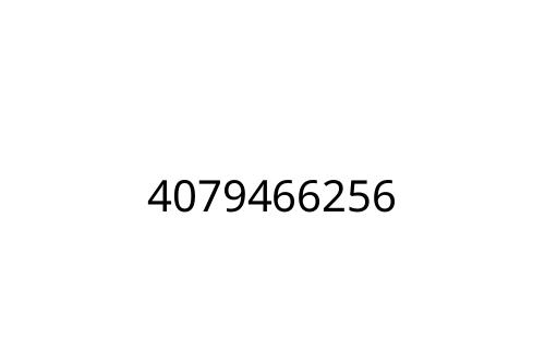 4079466256