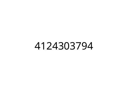 4124303794