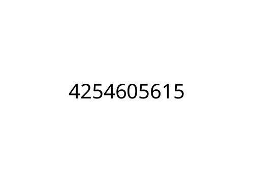 4254605615