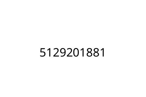 5129201881