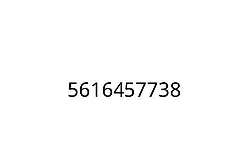 5616457738