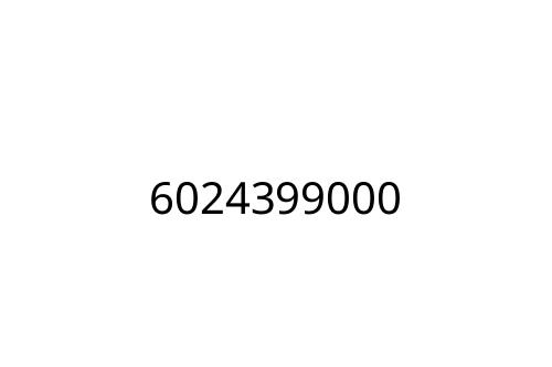 6024399000