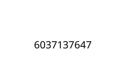 6037137647