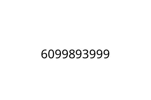 6099893999
