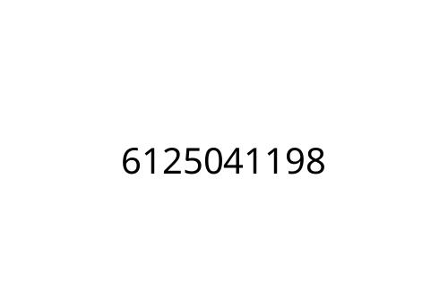 6125041198