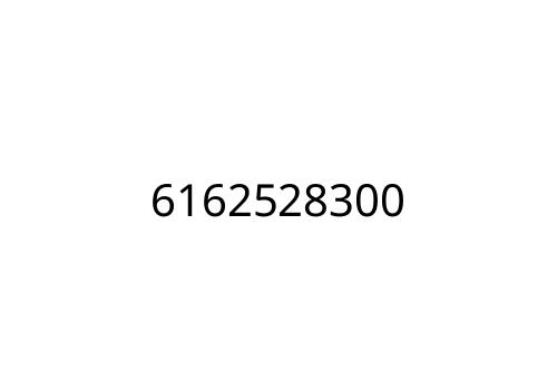 6162528300