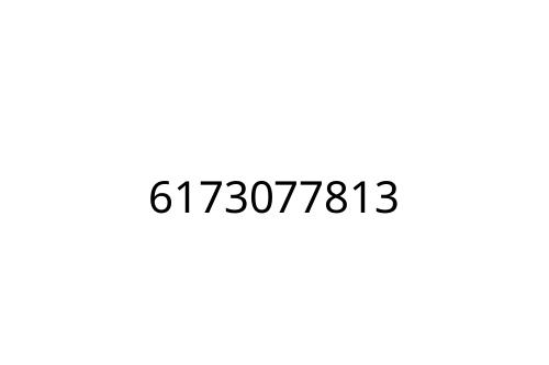 6173077813
