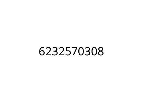 6232570308