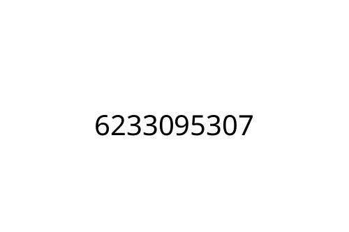 6233095307