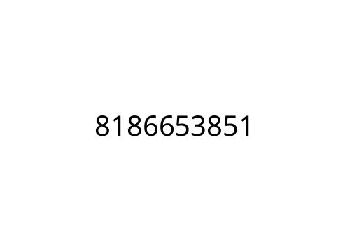 8186653851