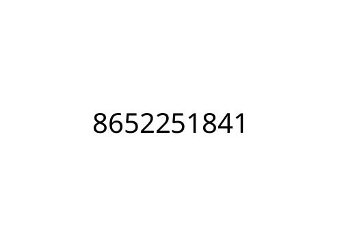 8652251841