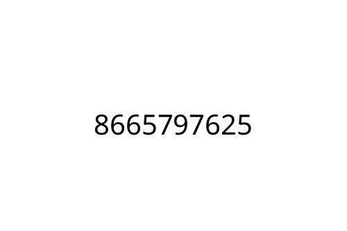 8665797625