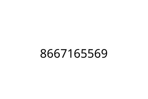 8667165569