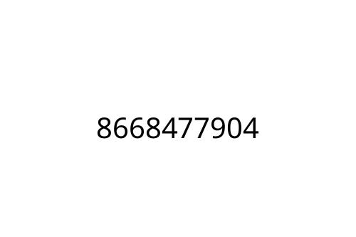 8668477904