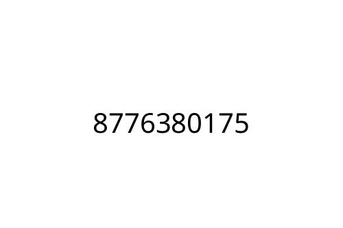8776380175