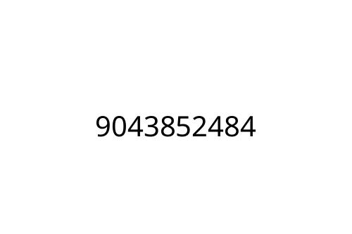 9043852484