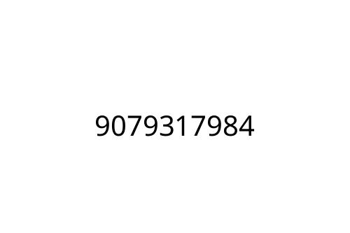 9079317984