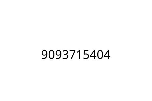 9093715404