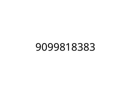 9099818383