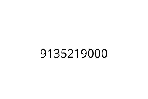9135219000