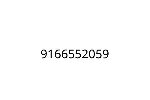 9166552059