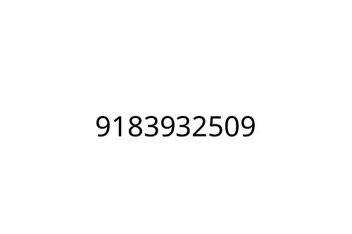 9183932509