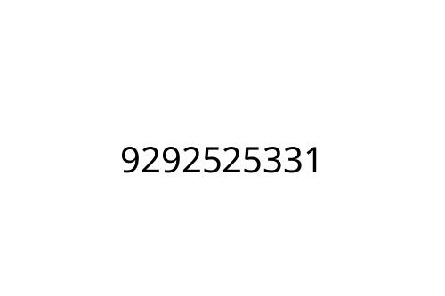 9292525331