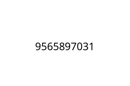 9565897031