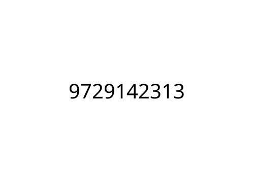 9729142313