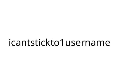 icantstickto1username