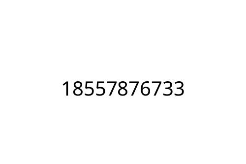 18557876733