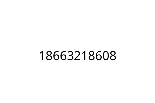 18663218608