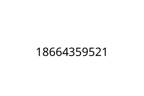18664359521