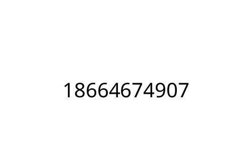 18664674907