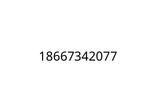 18667342077