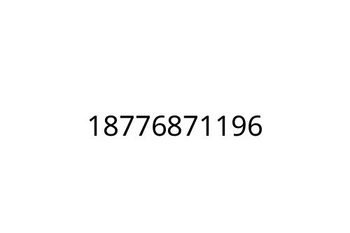 18776871196