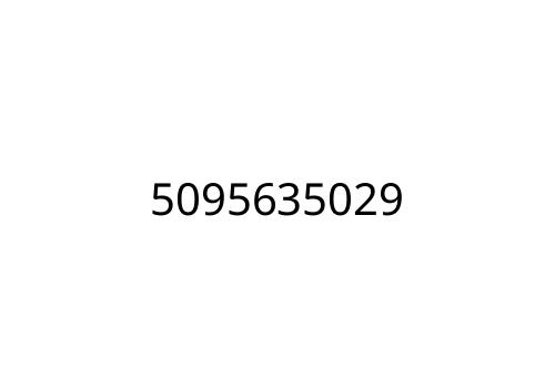 5095635029