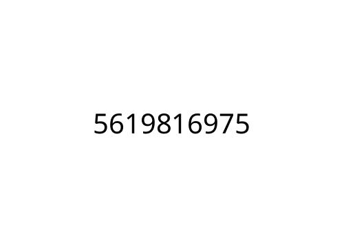 5619816975