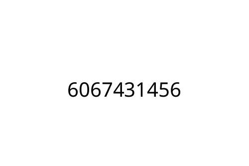 6067431456